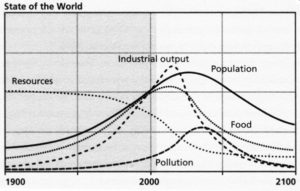 Overshoot & Collapse